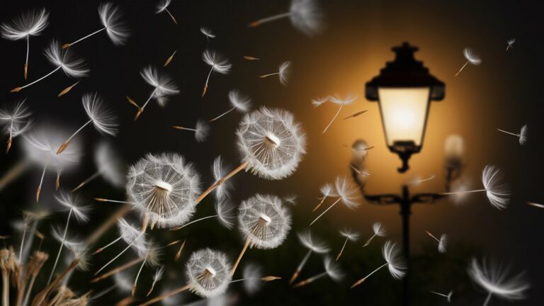 minor wagers luminous rewards