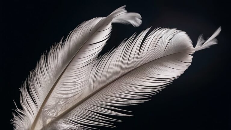 betting game gets intense