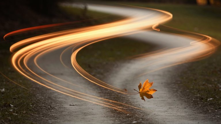 gambling cards through wind gusts