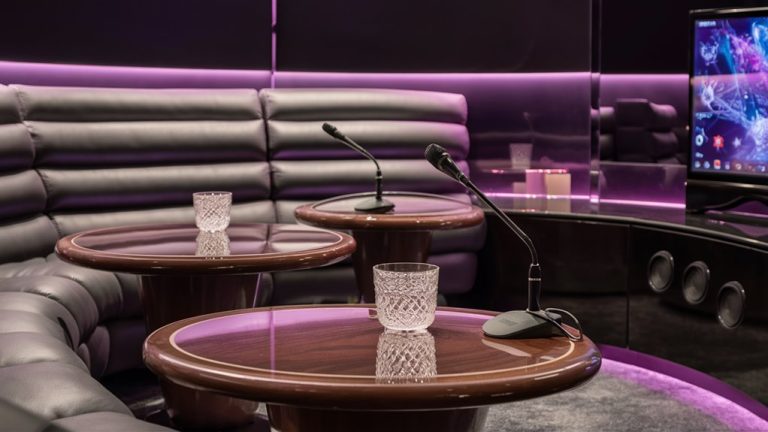 luxurious singing entertainment setup